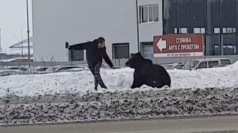 Medvěd na procházce honil majitele po ulici. Nakonec ho srazil autobus